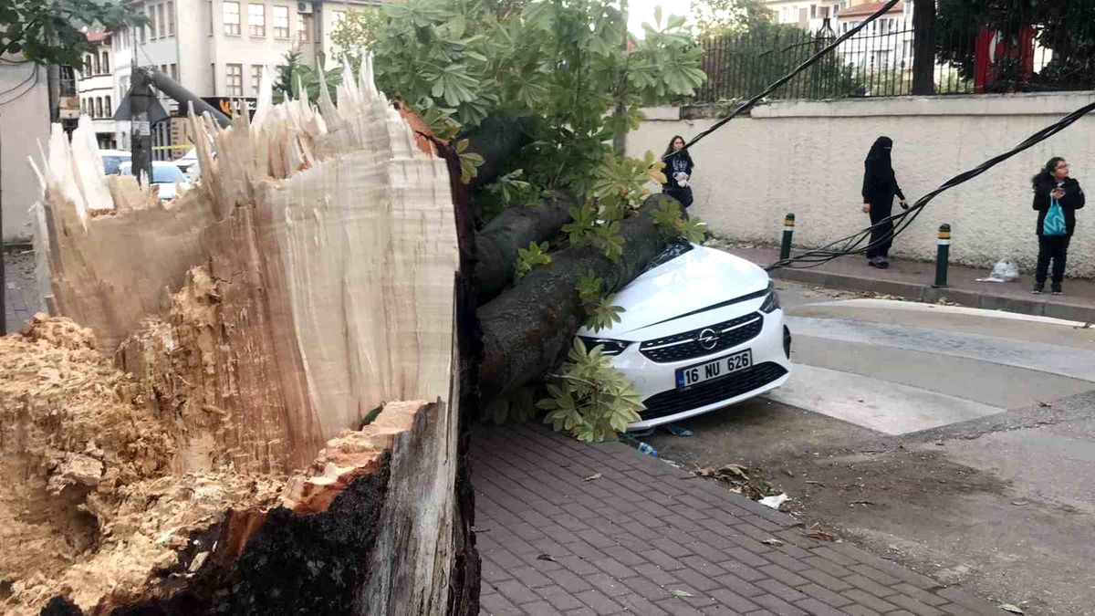 Bursa'da Şiddetli Lodos Araçlara Zarar Verdi