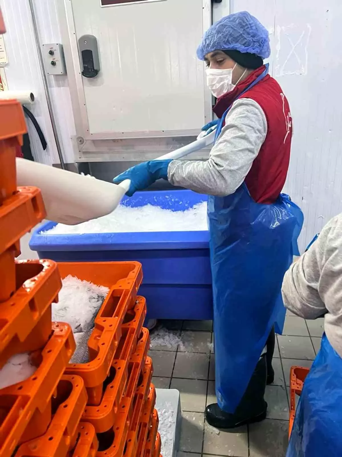 Muğla'da Roman Vatandaşlara İş İmkanı