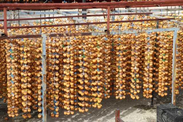 Tarlada fiyatı 20 TL olan cennet hurması, kurutulduktan sonra 200 TL'ye satılıyor Tarlada fiyatı 20 TL olan cennet hurması, kurutulduktan sonra 200 TL'ye satılıyor