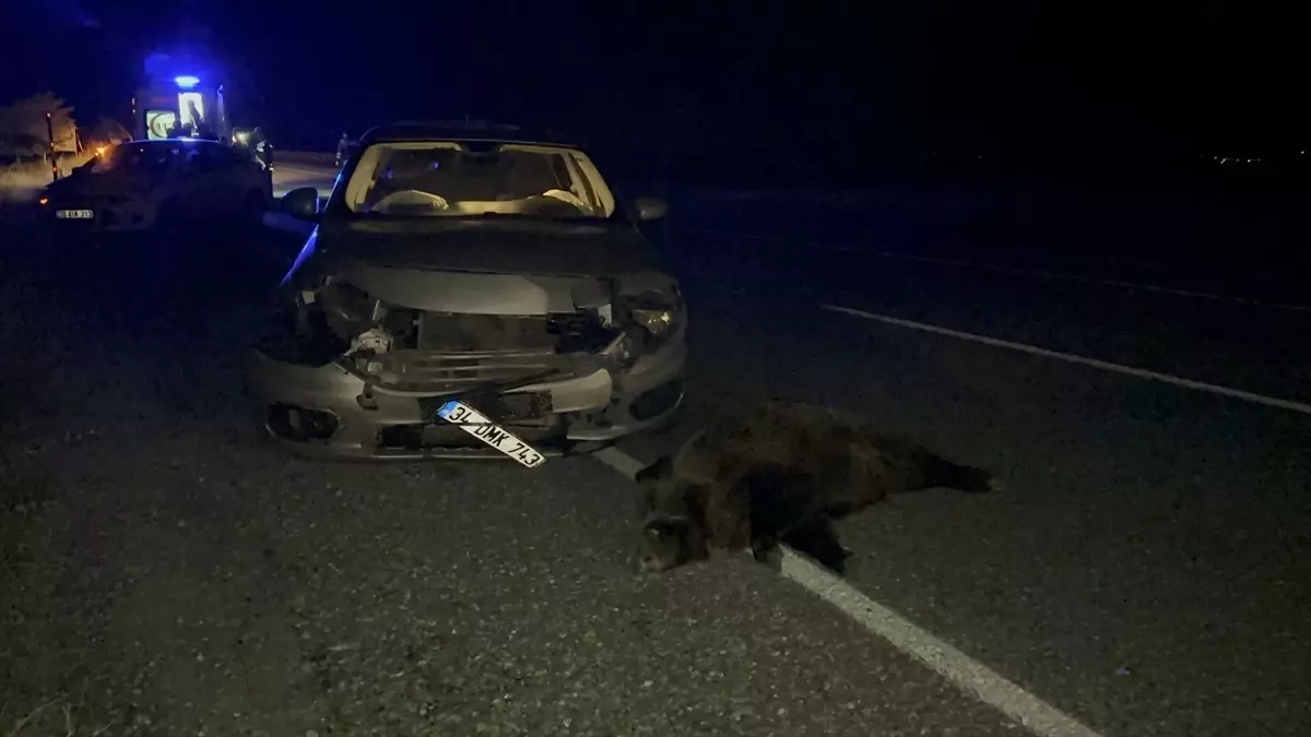 Van'da domuza çarpan otomobilde 4 kişi yaralandı