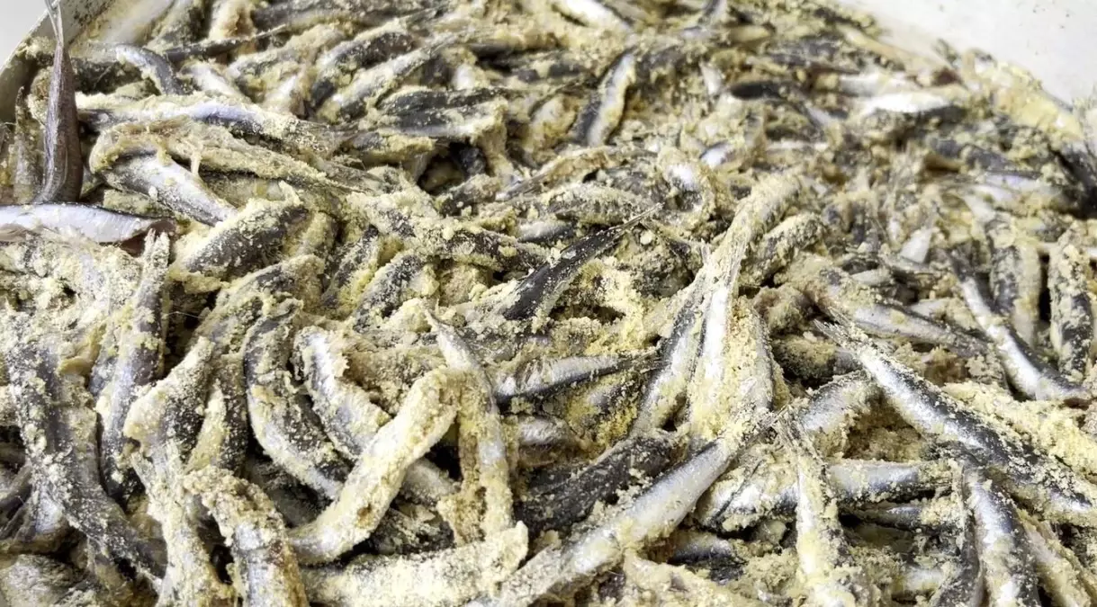 Denizli'de Geleneksel Hamsi Şenliği Düzenlendi