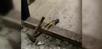 Psikolojik sorunları olan şüpheli köpeğini bıçakladı