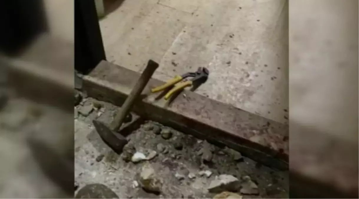 Psikolojik sorunları olan şüpheli köpeğini bıçakladı