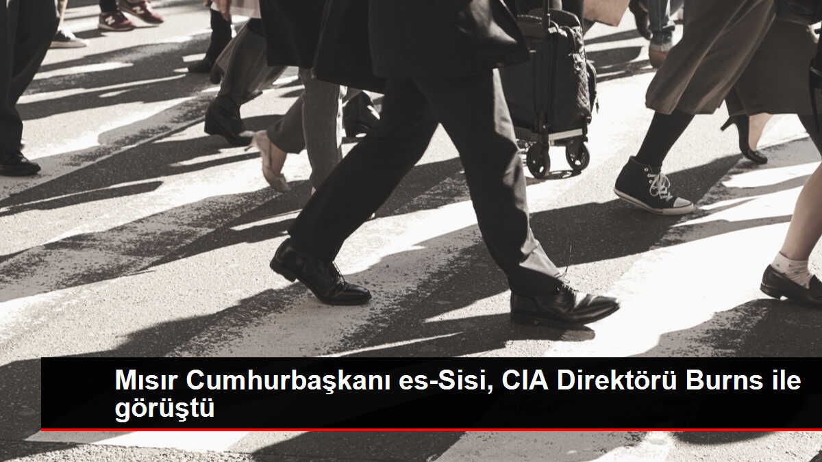 Mısır Cumhurbaşkanı es-Sisi, CIA Direktörü Burns ile görüştü