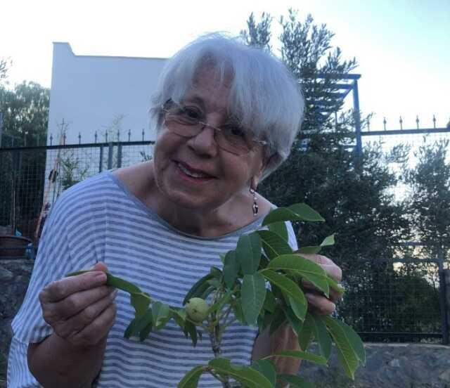 Zerrin Sümer kimdir, nereli, kaç yaşında, çocuğu var mı? Zerrin Sümer filmleri ve dizileri neler?