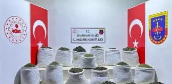 Diyarbakır'da 914 kilo esrar ile 7 bin 350 kök Hint keneviri ele geçirildi