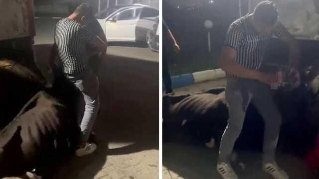 Sakarya'da bir grup, ineğe zorla alkol içirdi Sakarya'da bir grup, ineğe zorla alkol içirdi