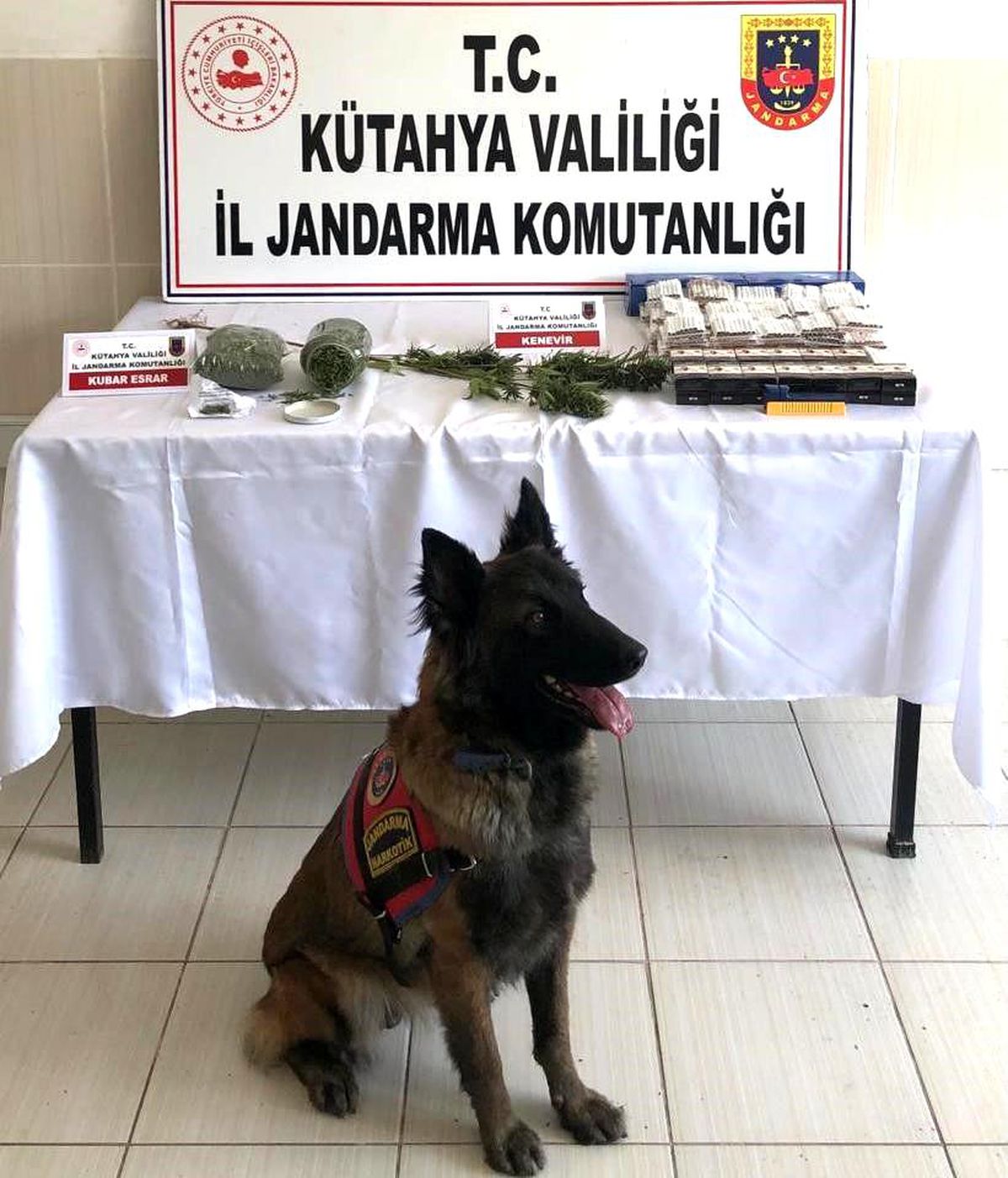 Simav'da Uyuşturucu Operasyonu: 250 Gram Esrar ve 2 Bin 400 Makaron Ele Geçirildi
