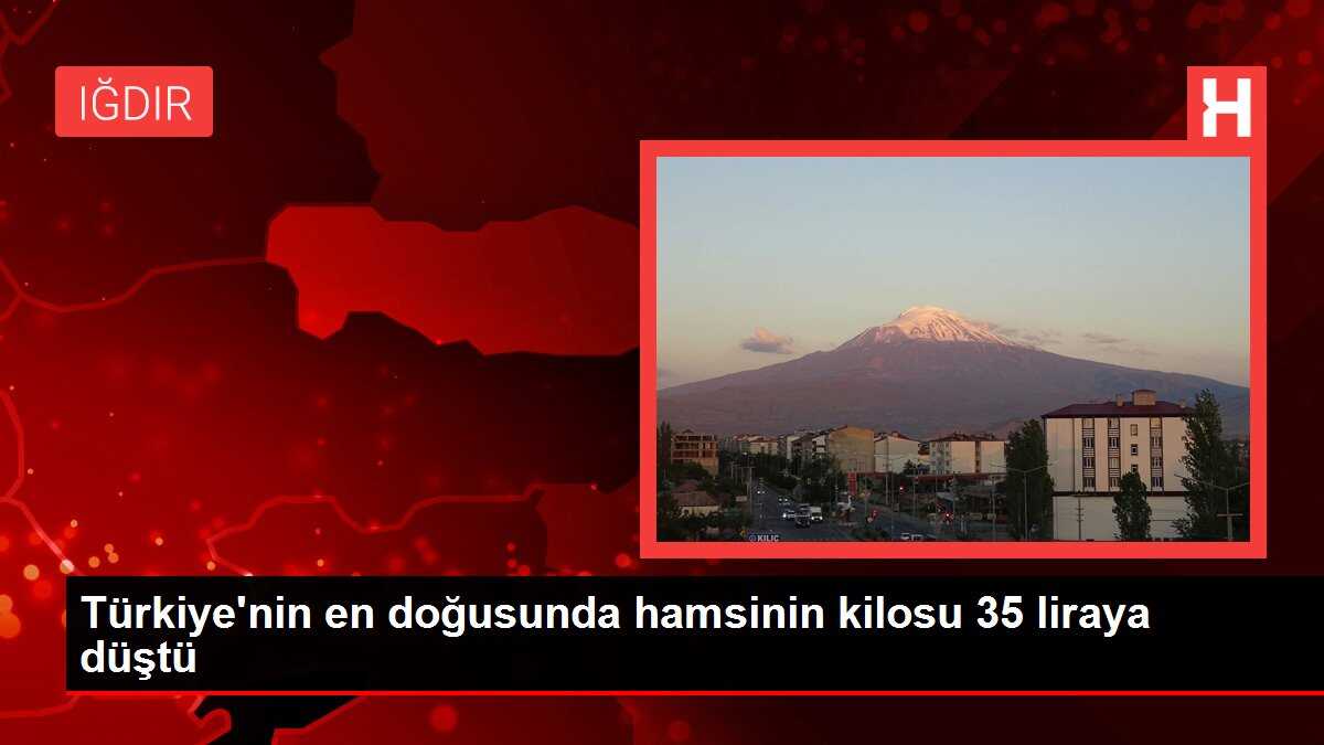 Türkiye'nin en doğusunda hamsinin kilosu 35 liraya düştü