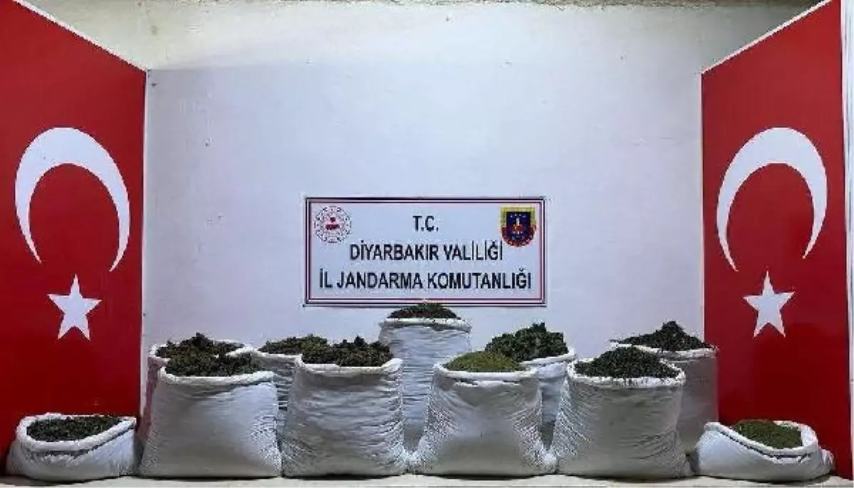 Diyarbakır'da 135 kilo esrar ile 48 bin 800 kök skunk ve Hint keneviri ele geçirildi