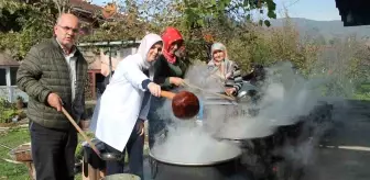 Düzce Şeker Kamışı Pekmezi Üretimi Coğrafi İşaret Denetimine Tabi Tutuldu