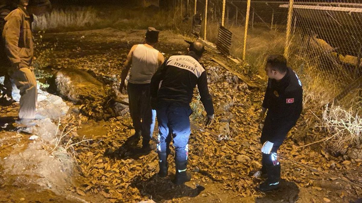 Erzincan'da Mahsur Kalan İnek İtfaiye Ekiplerince Kurtarıldı
