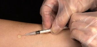 ABD, Chikungunya virüsüne karşı aşının onayını verdi