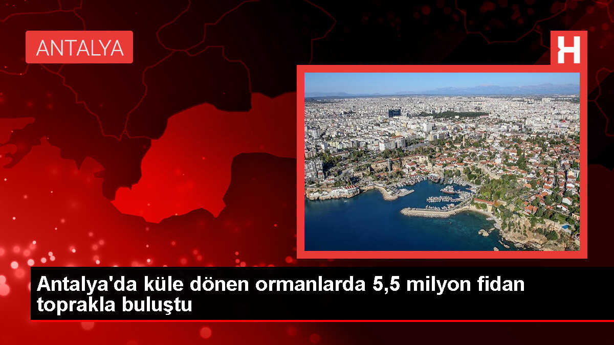 Antalya'da Yangın Sonrası Ağaçlandırma Çalışmaları Hız Kesmeden Devam Ediyor