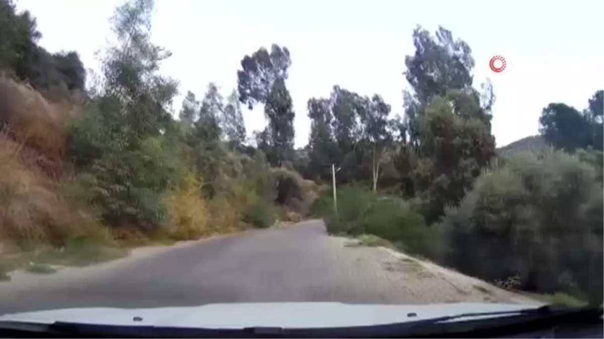 Aydın'da freni tutmayan minibüs devrildi: 3 yaralı