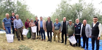 Manisa Büyükşehir Belediyesi Zeytin Hasadında Çiftçilere Koruyucu Ekipman Dağıtıyor