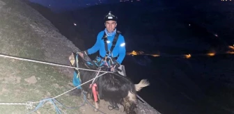 Diyarbakır'da mahsur kalan keçi kurtarıldı