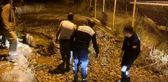 Erzincan'da mahsur kalan inek itfaiye ekipleri tarafından kurtarıldı