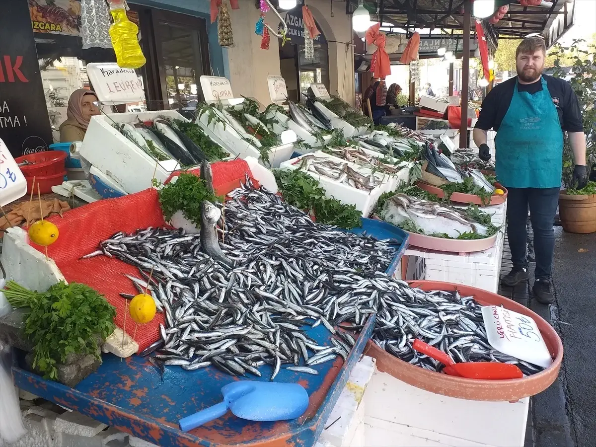 Hamsi Fiyatları Düştü
