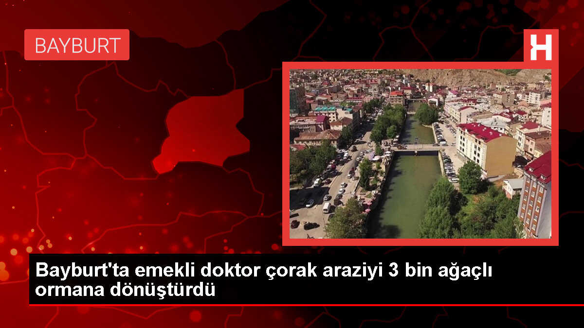 Bayburt'ta emekli doktor çorak araziyi 3 bin ağaçlı ormana dönüştürdü