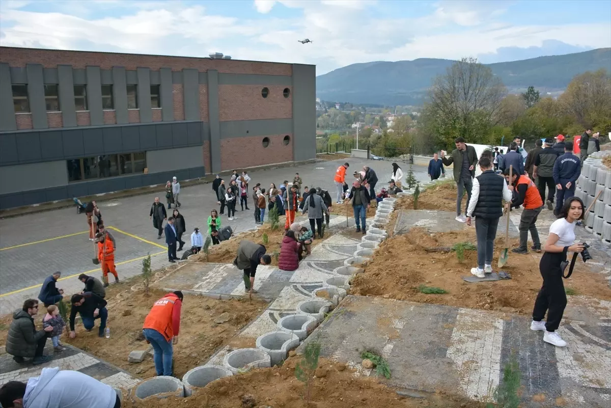 Bolu'da yangın sonrası 5 bin fidan dikildi