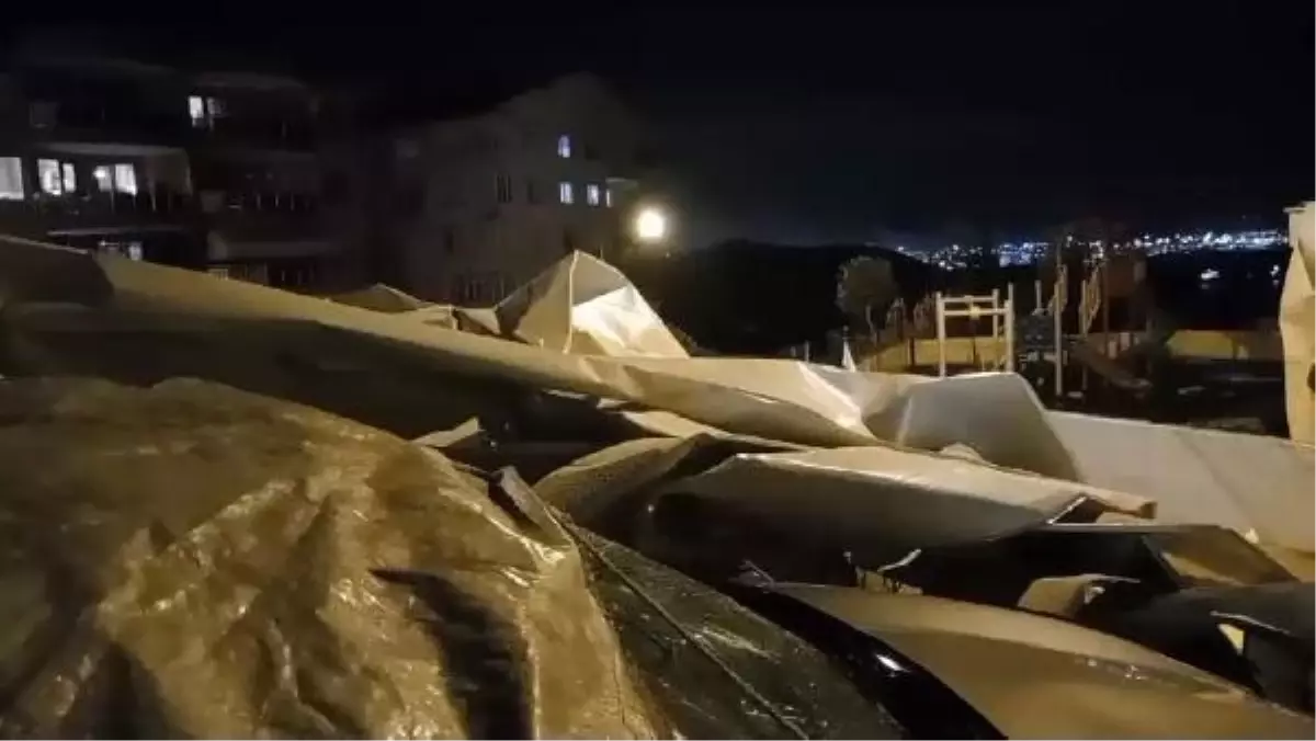 Bursa'da lodosun devirdiği ağaç, otomobilin üzerine düştü (2)