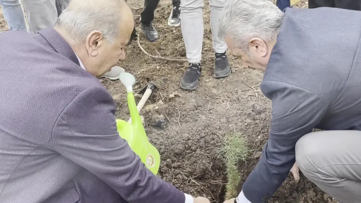 CHP Bursa İl Başkanlığı Göynüklü'de fidan dikti