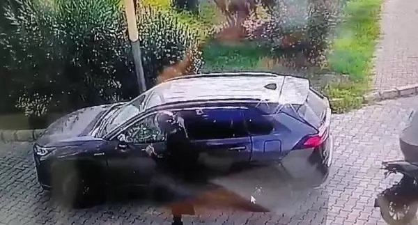 Görüntü Türkiye'den! Para dolu çantayı çalan 2 şüpheliyi cipiyle çarpıp öldürdü Görüntü Türkiye'den! Para dolu çantayı çalan 2 şüpheliyi cipiyle çarpıp öldürdü