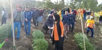 Sındırgı'da 2023 fidan toprakla buluştu
