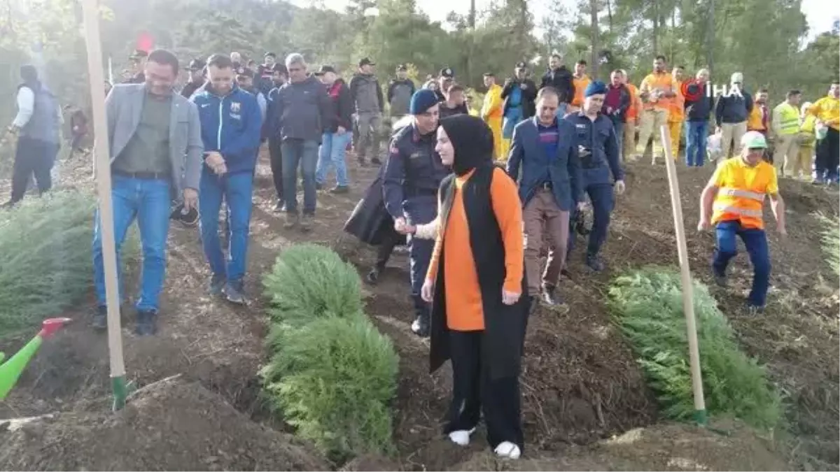 Sındırgı'da 2023 fidan toprakla buluştu