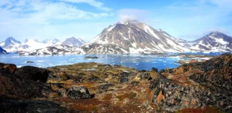 Grönland Buzullarının Geri Çekilme Hızı Endişe Verici Bulundu