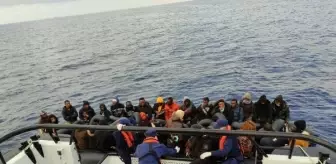 Yunanistan unsurlarınca geri itilen 77 kaçak göçmen kurtarıldı