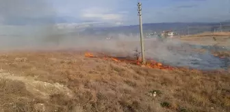 Dodurga'da anız yangınını itfaiye ekipleri söndürdü