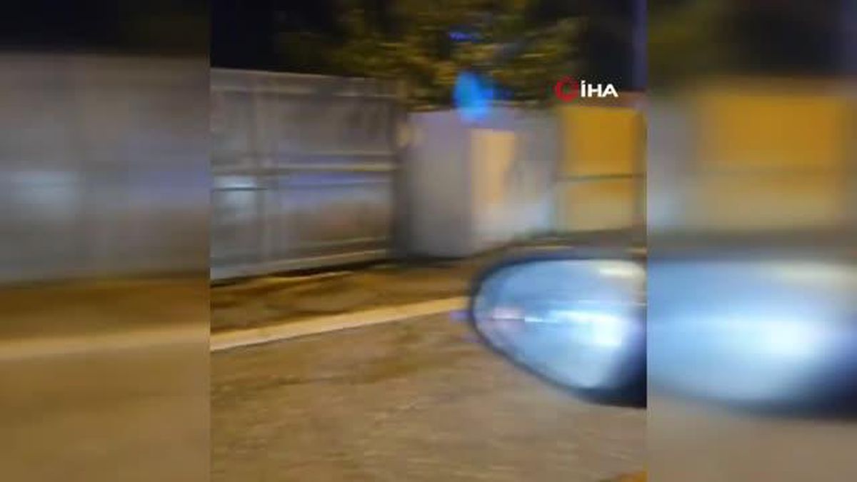 İtalya'nın Başkenti Roma'da Sokakta Gezen Aslan Yakalandı