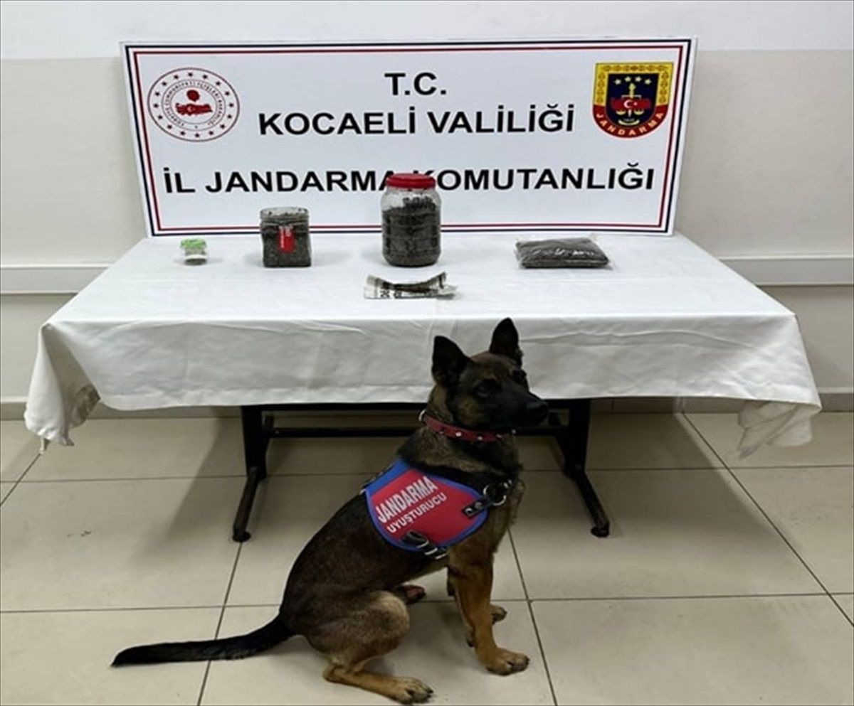 Kartepe'de Uyuşturucu Operasyonu: 1,5 Kilogram Esrar Ele Geçirildi