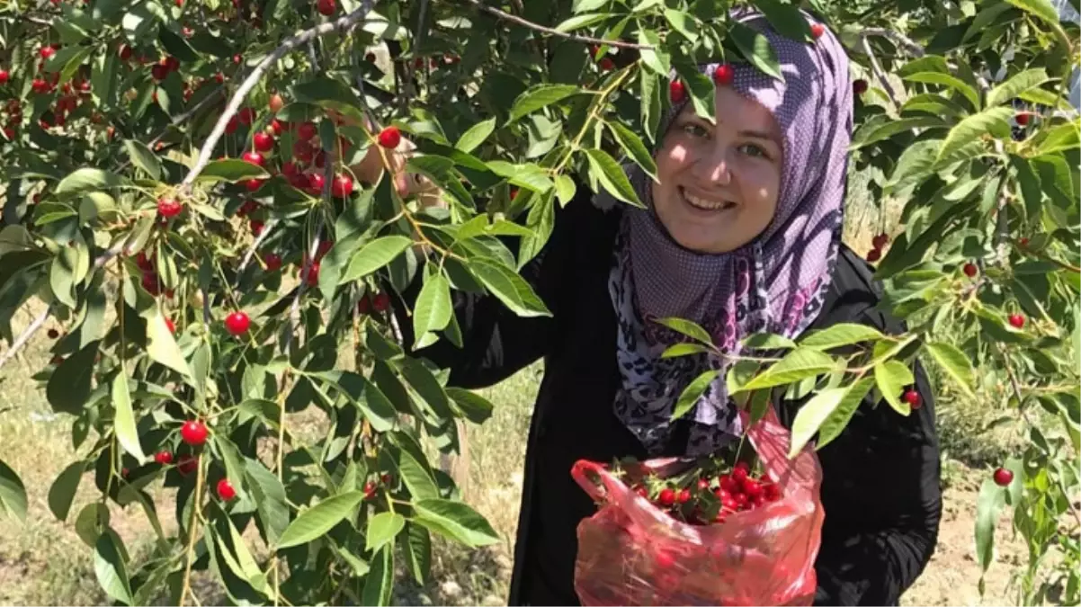 Mal varlığıyla konuşulan fenomen Rabia Toprak'ın bir de köydeki önceki hayatına bakın