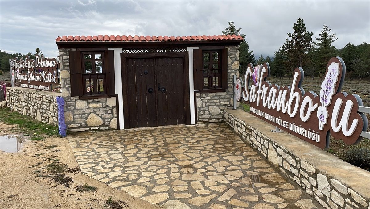 Safranbolu 'Tıbbi ve Aromatik Bitkiler Şehri'nde 177 bin 800 bitki yetiştiriliyor