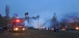 Tokat'ta Ahır Yangınında 50 Koyun Öldü