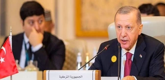 Almanya, Cumhurbaşkanı Erdoğan'ın ziyaretini tartışıyor: Türkiye zor ama vazgeçilmez ortak