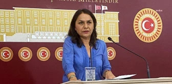 HEDEP Milletvekili Özgül Saki, tutuklu yazar Celalettin Can'ı ziyaret etti