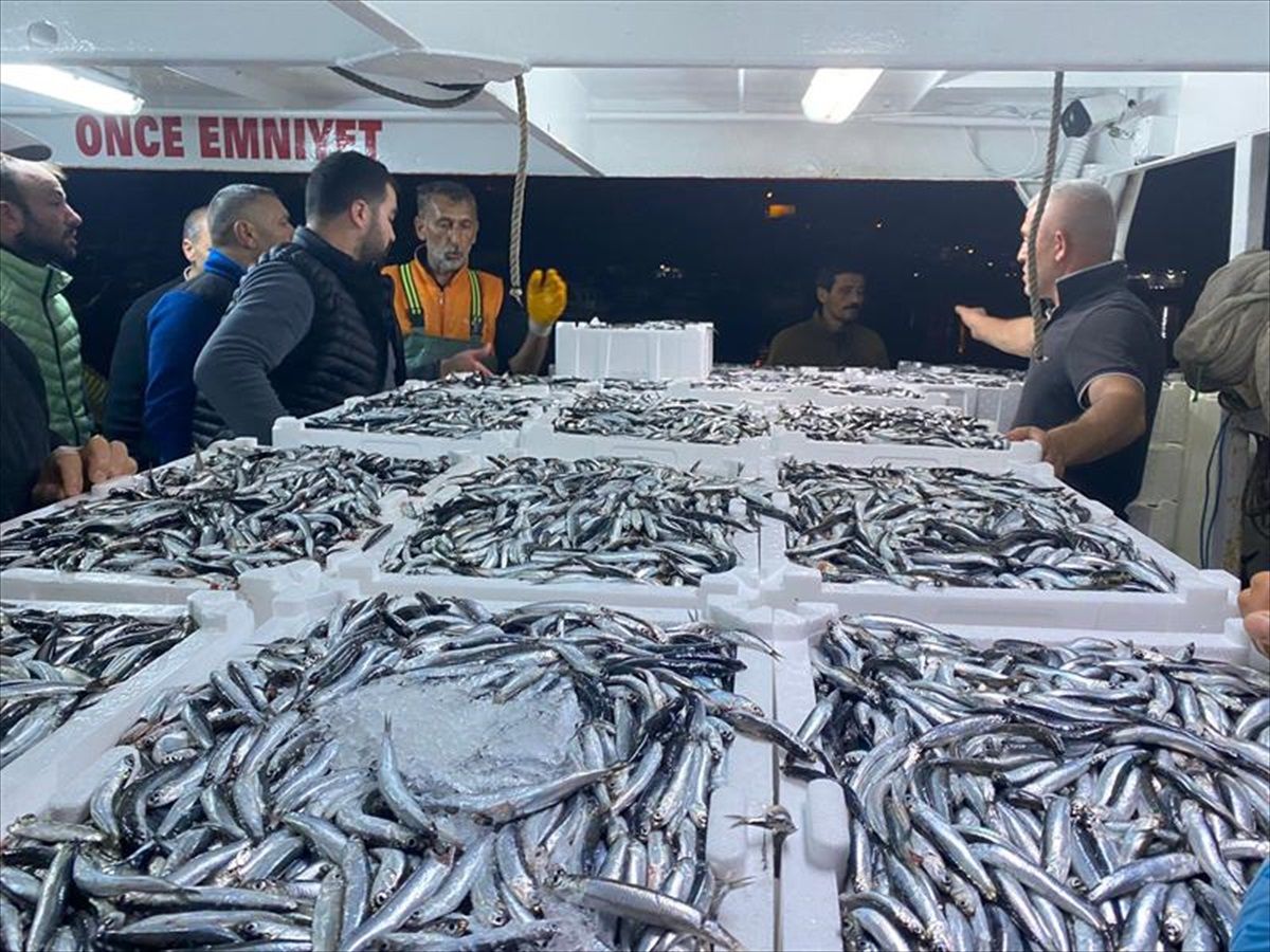Ordu'da Su Ürünleri Denetimleri Sürüyor