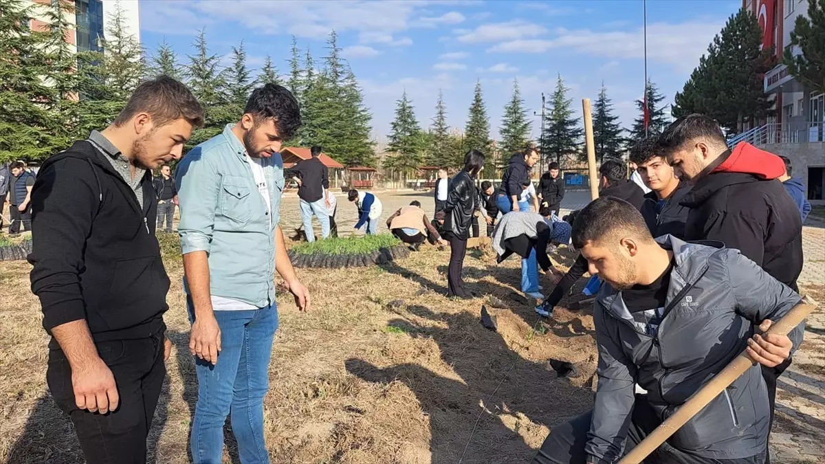 Selçuk Üniversitesinde 1867 fidan toprakla buluşturuldu