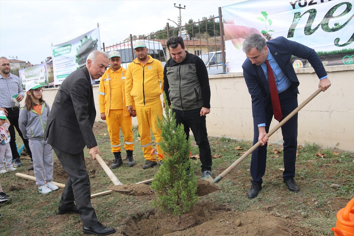 Amasya'nın Taşova ilçesinde 100 fidan dikildi