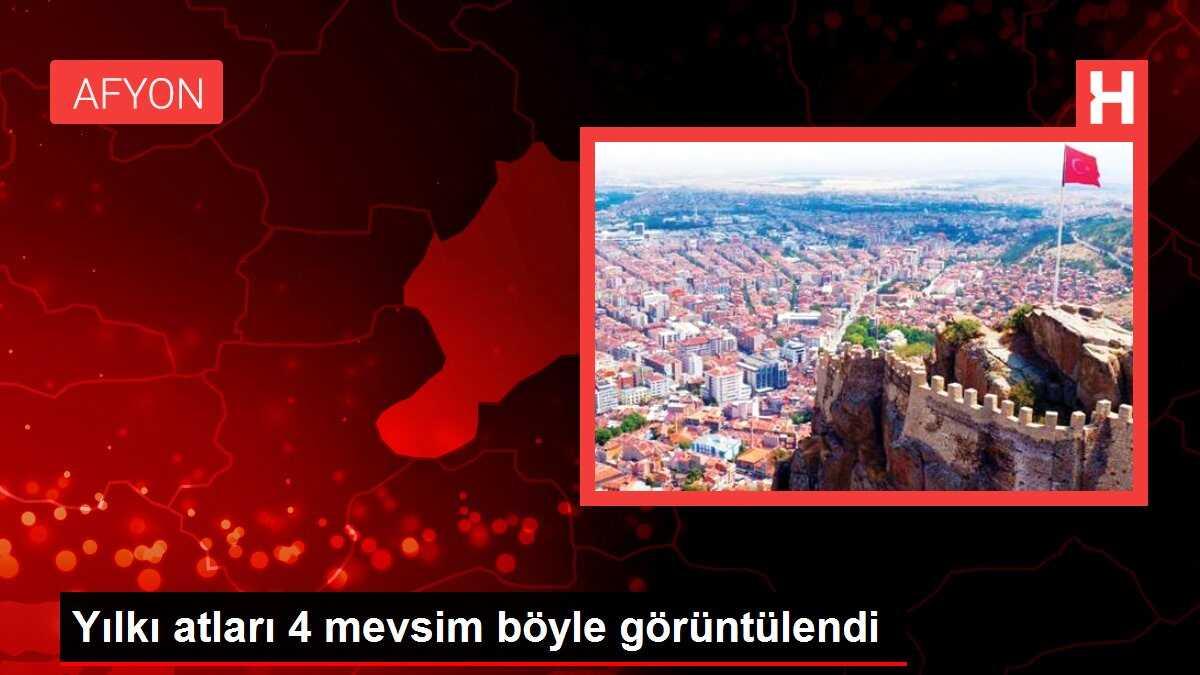 Yılkı atları 4 mevsim böyle görüntülendi