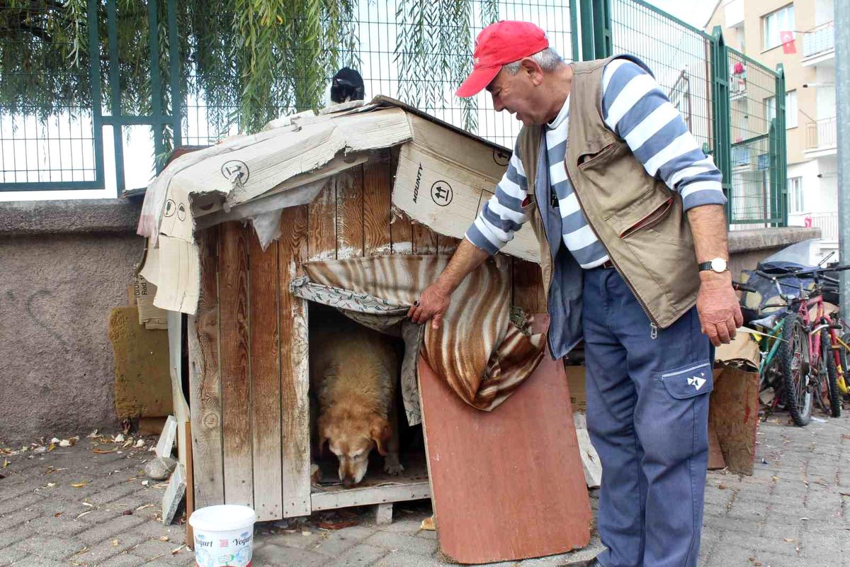 Eskişehirli Hayvanseverin Kedilere ve Köpeğe Verdiği Özen