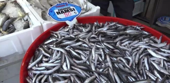 Aksaray'da Balık Hali İstemi