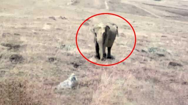 Ardahan'da filin görüldüğü iddia edilen köyün muhtarı konuştu