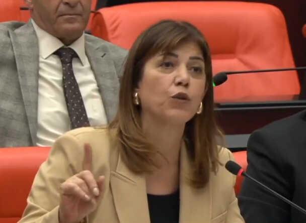 HEDEP'li Meral Danış Beştaş'tan AK Partili vekile tepki: Terörist senin babandır