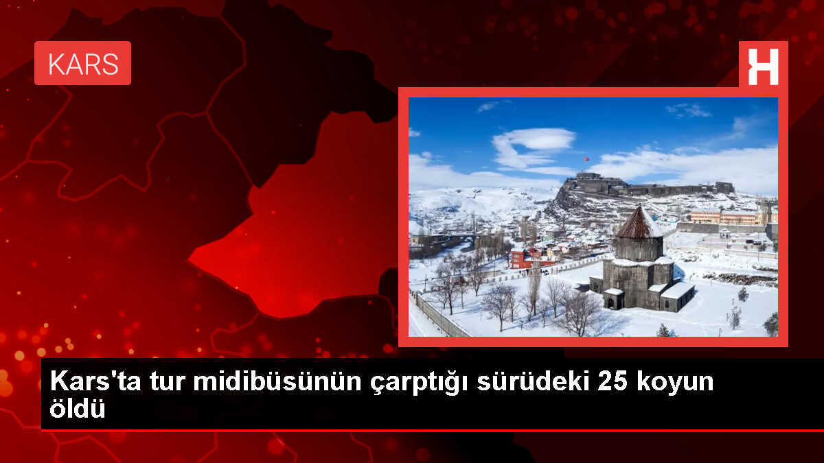 Kars'ta Tur Midibüsü Sürüye Çarptı: 25 Koyun Öldü