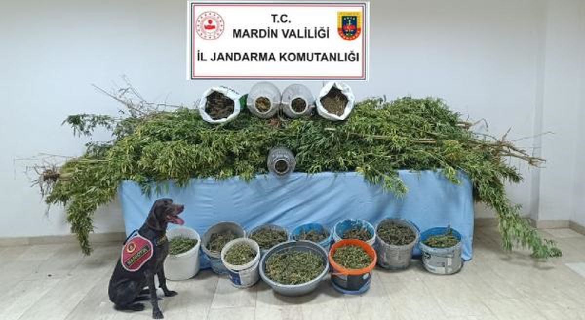 Mardin'de Narko Güç Operasyonu: 7 Şüpheli Tutuklandı